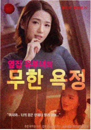 双城谜案美剧封面图